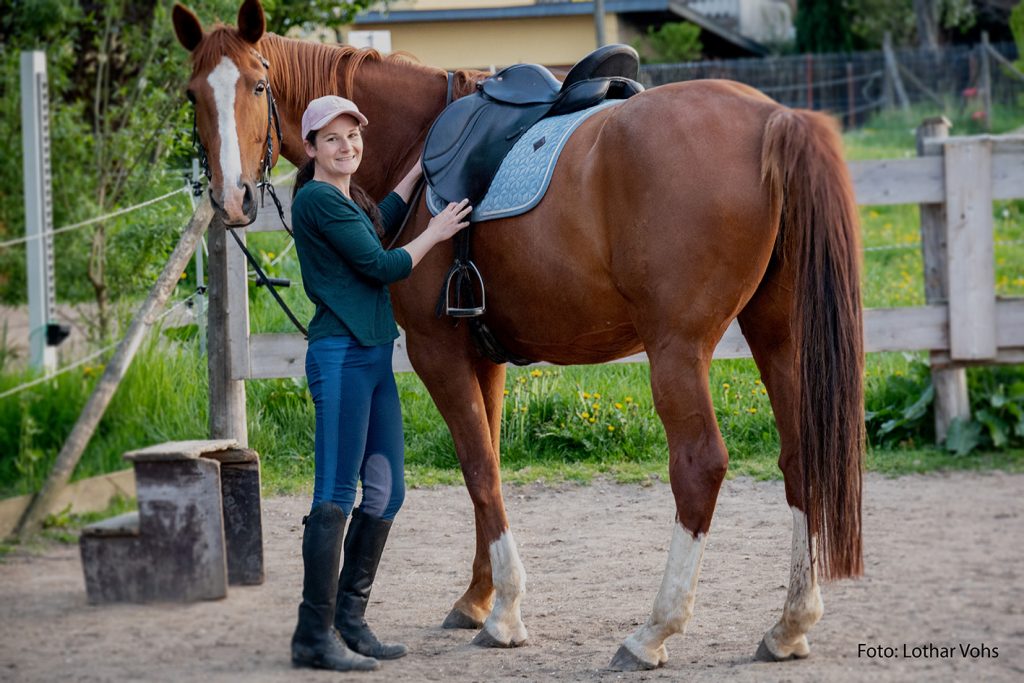 Maxima (Matcho AA) Hannoveraner Dressurpferd